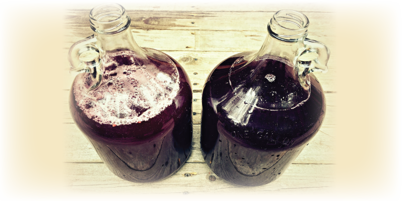 yeast-chiller-mead