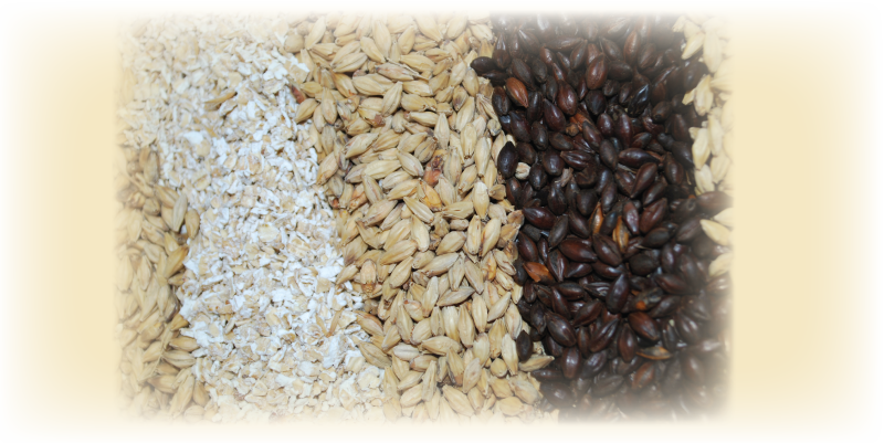 beer-yeast-07