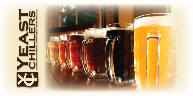 beer-yeast-08