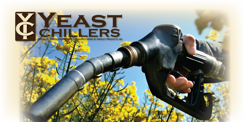 yeast-biofuel-24